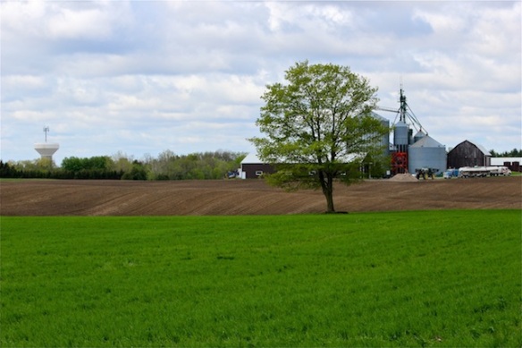 Spring planting north of Stouffville. The water tower on the left is on Stouffville's 10th Line beside the once famous Stouffville Country Market. View looking southeast
