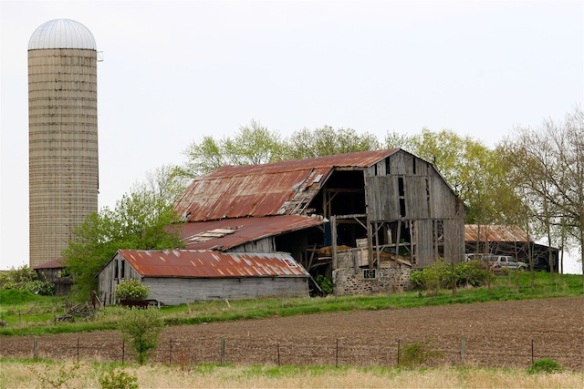 Often, after farms are sold, developers continue to rent the houses and land to tenants or local farmers who wish to expand their farming use. But the barns have no function without ownership, and are often torn down for safety reasons.
